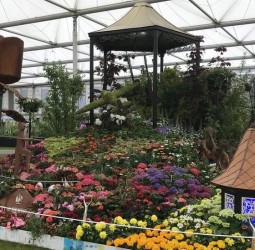 Birmingham Parks lauded in winning Chelsea Flower Show display